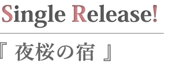 夜桜の宿